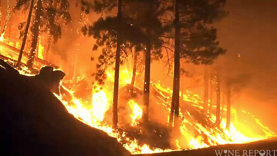 カリフォルニア エルドラド郡で山火事 1万6000人以上が避難 Wine Report