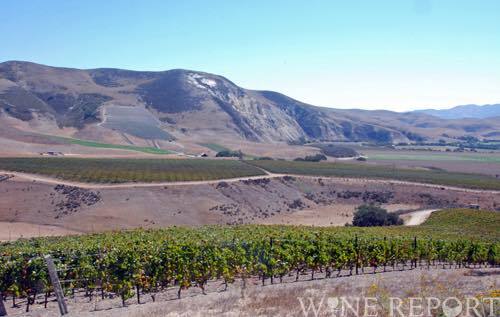 カリフォルニアのサンタ リタ ヒルズavaを拡大 Wine Report